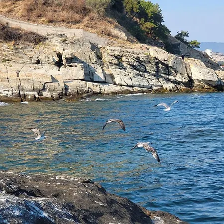 Serendipity * Kavala